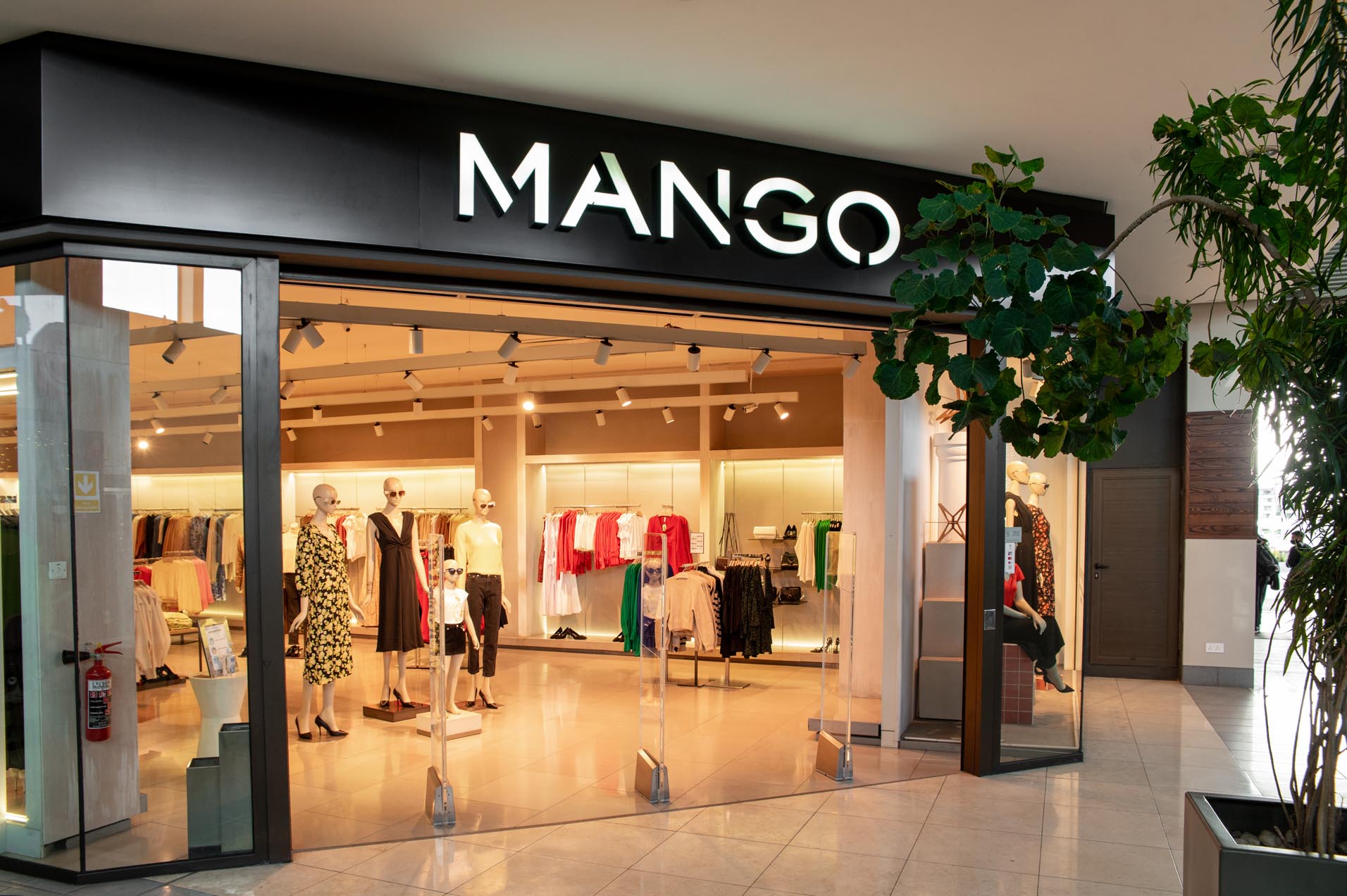 Mango Ascencia Malls